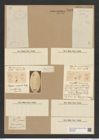 Ditylum brightwellii (West) Grun. (de-Toni-Nr.: Genus 165, Species 4281) Zeichnungen Sammlung Grunow Nr. 7843 (NHMW-BOT-W0377089)